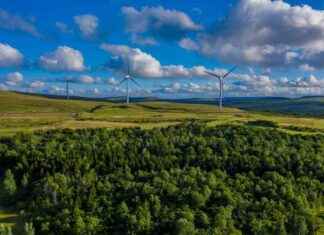 Proposed Wind Farm Project Plan for Permit Approval news-15102024-140922