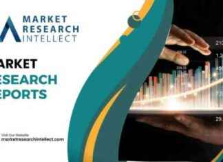 Sustainable Bio-based Surfactant Market Analysis: Key Players, Size & Forecast news-15102024-215731