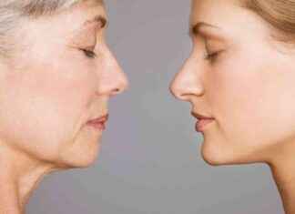 Women’s Health Supplements: Focusing on Fertility and Menopause Transition news-16102024-000943