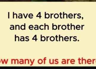 Mind-Boggling Brain Teaser: Can You Solve the Total Number of Brothers Puzzle? news-16102024-112448