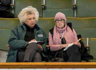 Sea The Stars Colt Shines Bright in Book 2 Opener – Vendors Rejoice news-16102024-113122