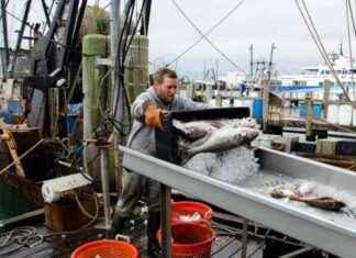 Supporting a Sustainable Future for the Seafood Industry: Strategies for Success news-16102024-152053