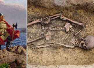 Discovery of 50 Well-Preserved Viking Skeletons in Danish Burial Ground news-17102024-041259