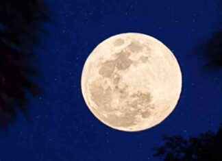 October Full Moon: Impact and Significance on 17th October – Times of India news-17102024-193622