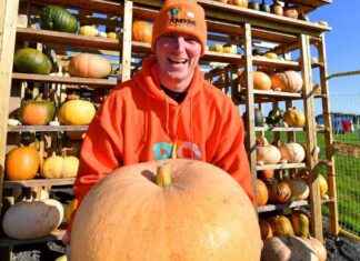 Best Places to Find Pumpkin Crops for Cooking and Carving news-19102024-130329