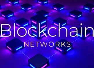 Ensuring Efficient Privacy in Blockchain Networks: A Must-Have Feature news-20102024-201101