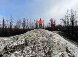 James Bay Nevada Gold Breakthrough news-21102024-063145