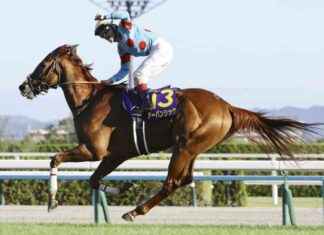 Kyodo News Highlights: October 21, 2024 news-21102024-181801