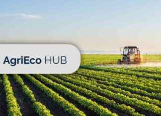 AfriGIS Wins Global Hackathon on Sustainable Finance: Key Achievements and Impact news-22102024-133842