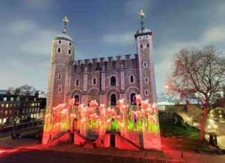 Tower of London Light Show: November Tickets Available news-24102024-035735