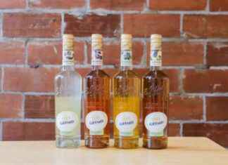 Delicious Non-Alcoholic Liqueurs by Giffard: A Flavorful Alternative news-24102024-074934