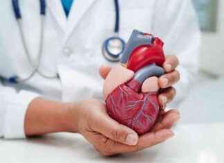 AI Cardiovascular Risk Diagnostic by Elucid Receives FDA Approval news-26102024-005302