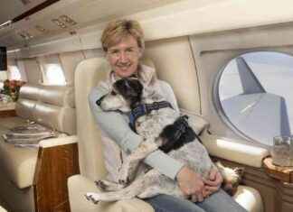 Private Pet Air Travel Service Across the USA: K9 JETS for Dogs and Cats news-27102024-173621