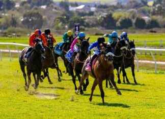 Hollywoodbets Durbanville Race Preview: 29 October – Cape Racing news-29102024-090508