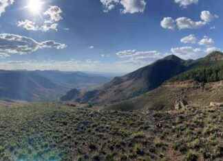 Impact of Giant S2 Meteor Strike on Earth 3 Billion Years Ago – Harvard Gazette Study news-30102024-083853