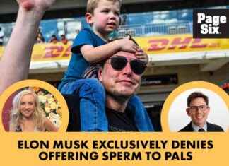 Elon Musk Denies Offering Sperm to Friends news-31102024-160727