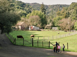 Hidden Ranch Loop News: What Locals Are Talking About