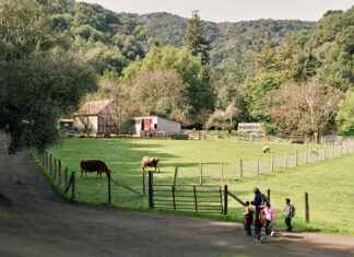 Hidden Ranch Loop News: What Locals Are Talking About Hidden Ranch Loop News: What Locals Are Talking About