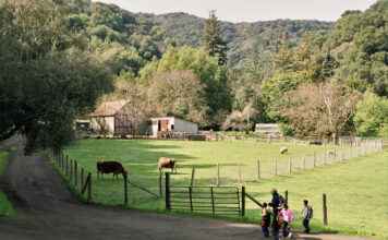 Hidden Ranch Loop News: What Locals Are Talking About Hidden Ranch Loop News: What Locals Are Talking About