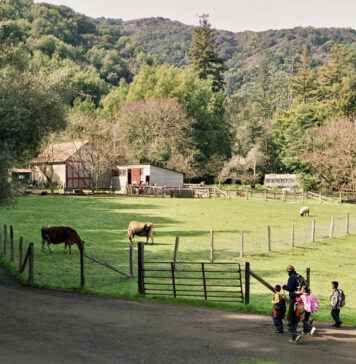 Hidden Ranch Loop News: What Locals Are Talking About Hidden Ranch Loop News: What Locals Are Talking About