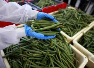 Compensation for Nature’s Sequenced Genes: Who Deserves Payment? news-01112024-185626