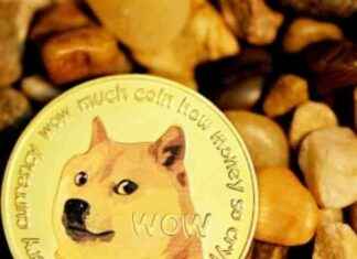 Navigating the World of Memecoins and Real Blockchain Projects news-01122024-025755