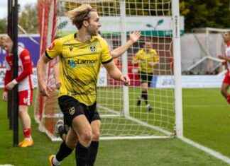 Stevenage vs Guiseley AFC: Match Preview and Predictions news-02112024-005821