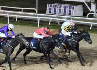 Dundalk Friday: Murphy’s Stars Align for Repeat Mercury Wins – 01 Nov 2024 news-02112024-065557