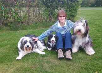 Ban on Fireworks for General Sale Urged After Pet Dog Tragically Killed news-03112024-044500