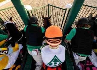 American Horse Racing Tips for Saturday: Get Winning Tips from GetYourTipsOut news-03112024-075612