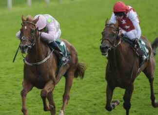 2023 Melbourne Cup Lead-Up Races to Watch: How a Big Flop Can Make a Comeback news-04112024-095311