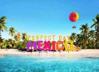 Perfect Day Mexico: How the Royal Building is Achieving Success news-05112024-094130
