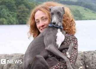 Tragic Incident in New Mills: Dog Euthanized After Firework-Induced Stroke news-05112024-141200