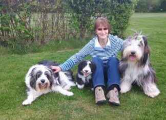 Tragic Incident: Dog Fatally Hit by Train Due to Fireworks Fright news-05112024-201604