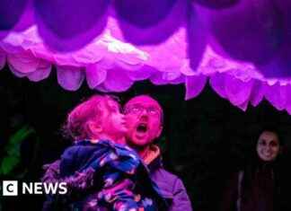 Illuminate Your Path: Free Light Up Lancaster Trail Shines Bright news-07112024-121354