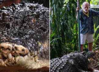 Uncovering the Real Age of Cassius the Crocodile: Scientists’ Research & Findings news-08112024-162118