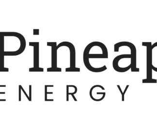 SUNation Energy, Inc. Incorporation and Name Change Approved by Pineapple Energy Shareholders news-09112024-003827