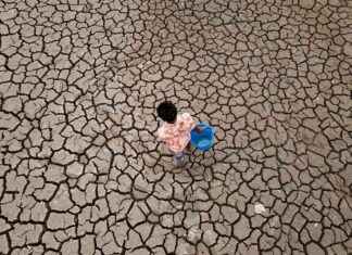 2024 Climate Services Report: Trends and Forecasts news-09112024-072753