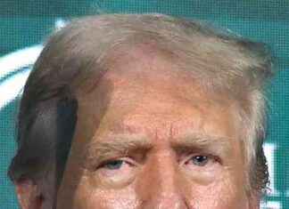 The Controversy of Trump Playing Songs: Why Artists Refuse to Let Him Use Their Music news-09112024-072825