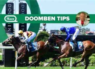 Saturday Best Bets at Doomben & Rosehill: SENTrack Picks by Chris Nelson (9/11) news-09112024-130438