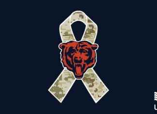 Salute to Service: Bears’ Month-Long Celebration in November news-11112024-033338