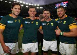 Bulls aim to strengthen squad with Bok centre acquisition news-11112024-033415