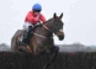 Quilixios Triumphs Over Marine Nationale in Naas Showdown news-11112024-094412