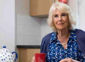 Queen Camilla’s Mission to End Domestic Violence: CNN Coverage news-11112024-185616