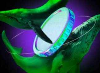 Top 3 Altcoins to Monitor in November 2024 news-12112024-002352