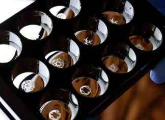 Revolutionizing Organ Replication with Light and Sound 3D Printing news-12112024-070603