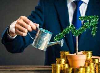 ESG Finance Potential: SAP’s Insights for Growth-minded Leaders news-12112024-123610