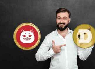 The Ultimate Meme Coin Race: Can Newcomers Surpass DOGE to $1? news-12112024-143901