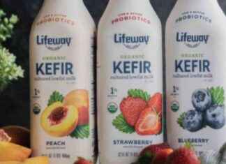 Danone Raises Acquisition Offer for Lifeway Foods to Strengthen Market Presence news-16112024-030255