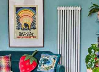 Ideal Home Temperature to Avoid Damp, Mold, and Condensation: Expert Advice news-16112024-160854